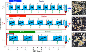 Read more about the article 8/14/2020: Congratulate Dr. Yewei Sun on his new publication titled “Feast/famine ratio determined continuous flow aerobic granulation”